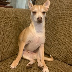 Meet your Posher, Kyle